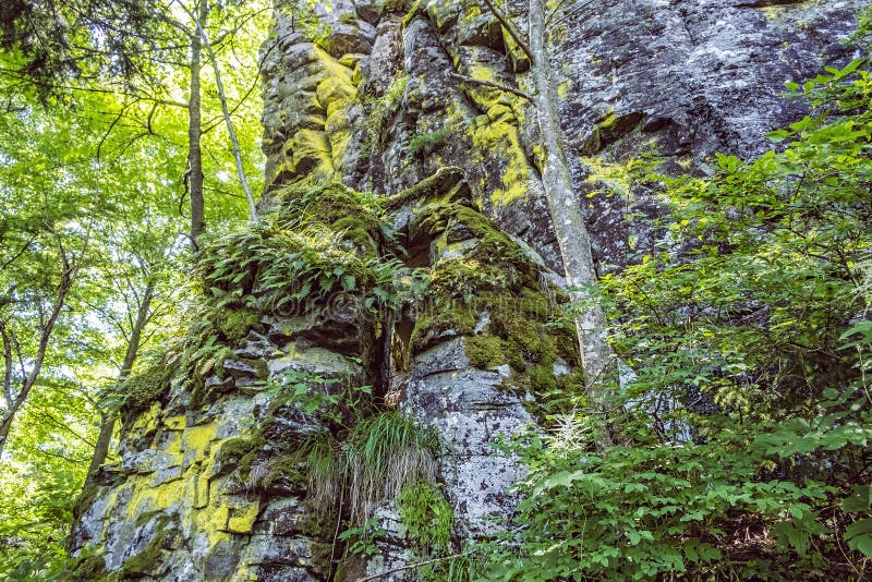 Skály s mechem, vrch Hrb, Vepor, Poľana, Slovensko