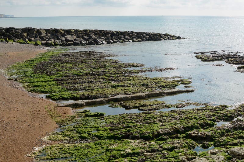 Rocks at Rottingdean Beach, Sussex, England