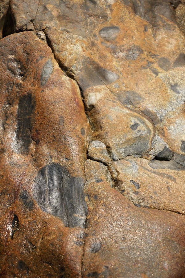 Rocks with Striations and Grooves at Sand Beach, Acadia National Park, Bar Harbor Maine
A gorgeous beach surrounded by interesting rocks, cliffs and forest.