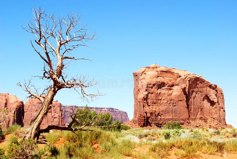 The rocks and the three