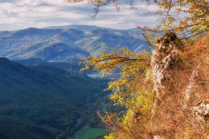 Rocks and trees on Sarkanica on Muranska Planina