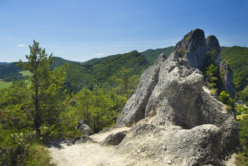 Rocks and trees