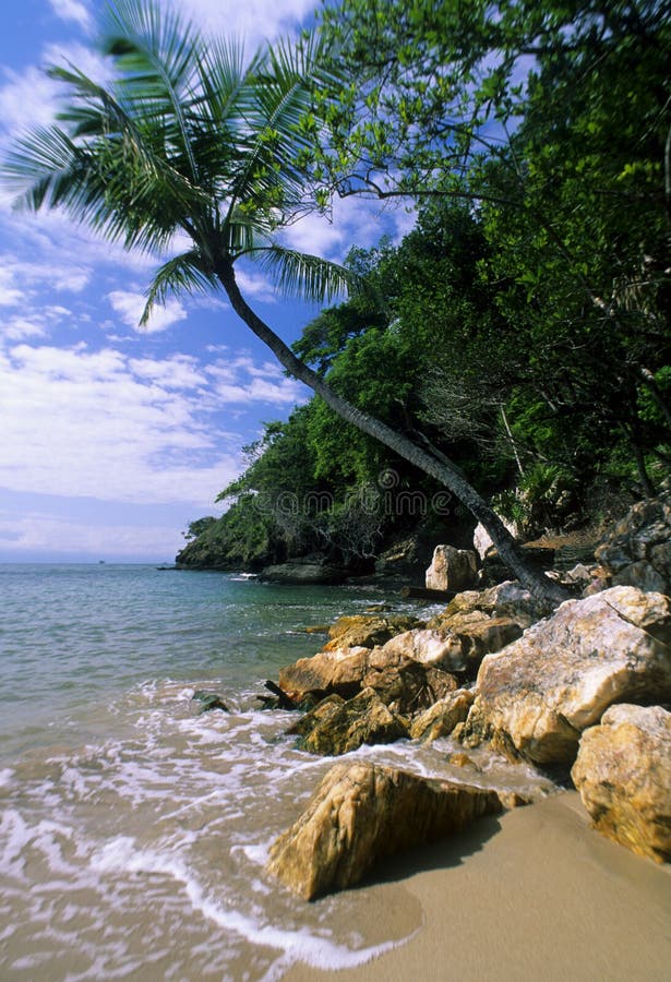 Rocky beach