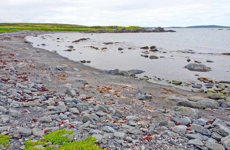 Rocky Beach on a Barren Coast in Newfoundland Stock Photo Image of