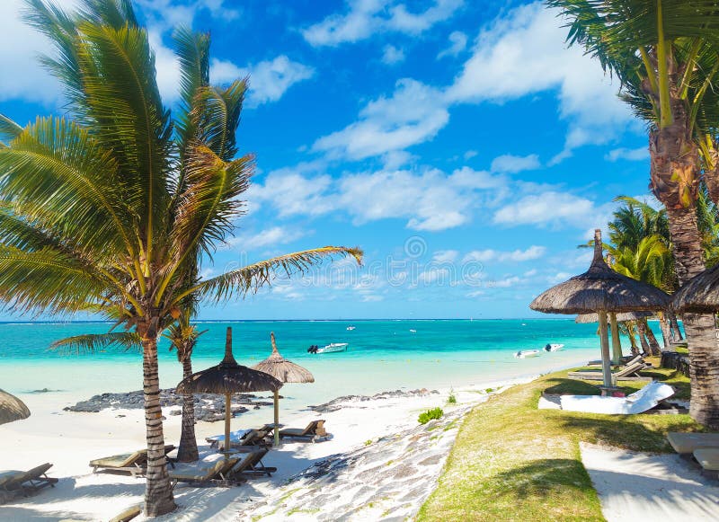 Rocky beach of mauritius with palm trees and deckchairs