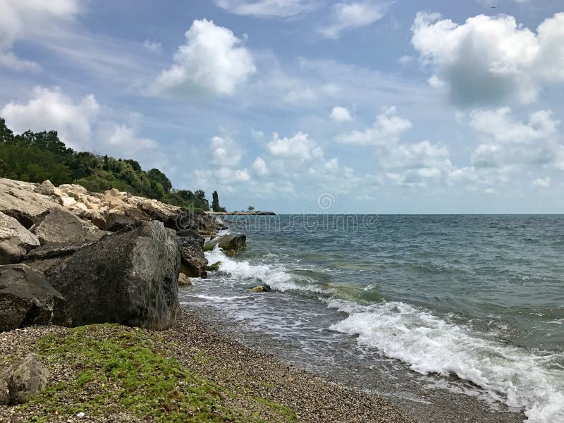 Rocky Beach mit Meerespflanze lizenzfreie stockbilder Rocky Beach mit Meerespflanze lizenzfreie stockbilder