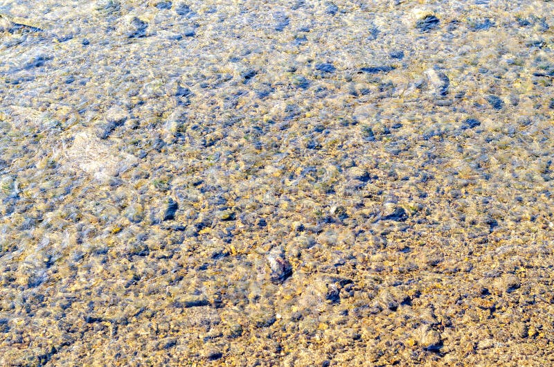 The Rocky Bottom of the River. Clear Water Editorial Stock Image