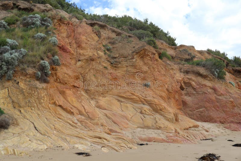 A rocky cliff face at low tide