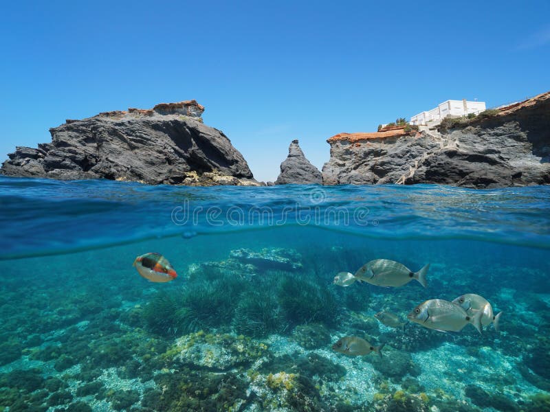 Rocky coast with fish underwater