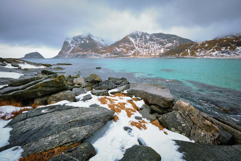 Rocky Coast Of Fjord In Norway Stock Image Image Of Flakstad Snow