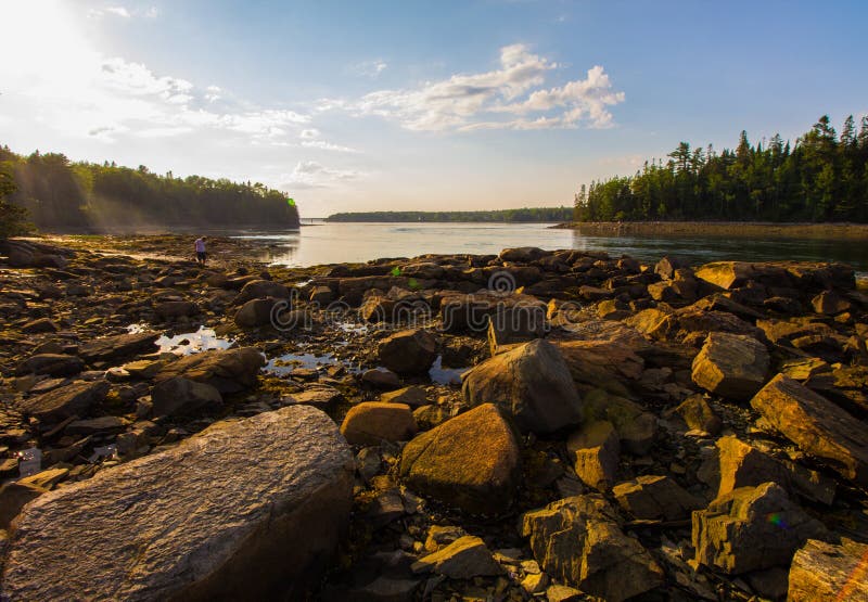 Rocky Coast of the Gouldsboro Bay, Maine Stock Photo Image of nature