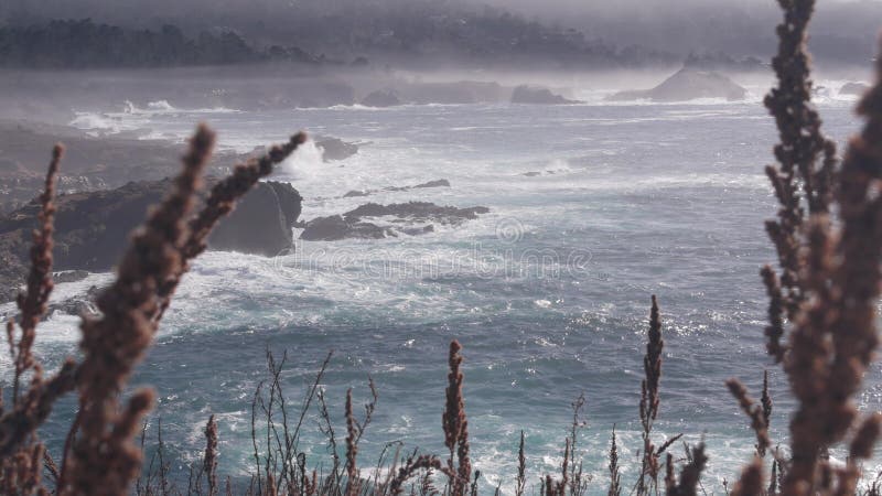 Rocky craggy ocean beach, Point Lobos, foggy California coast. Waves crashing.