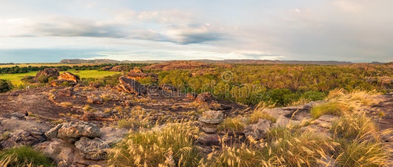 Rocky Escarpment en gouden grassen - Kakadu-panorama stock foto Rocky Escarpment en gouden grassen - Kakadu-panorama stock foto