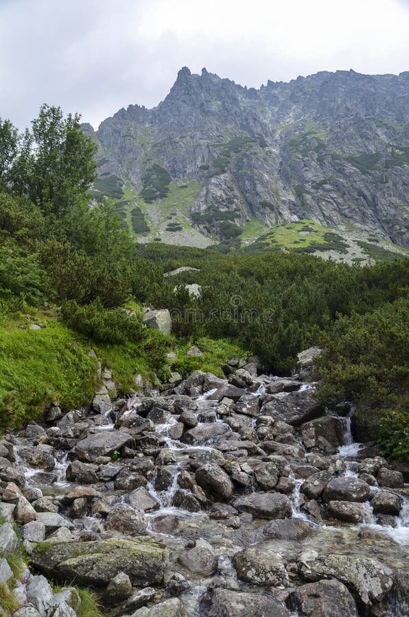 Skalnaté hmlisté hory proti zamračenej oblohe vo Vysokých Tatrách, Slovensko