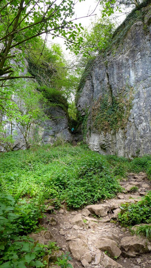 Rocky Footpath through a narrow canyon in the forest