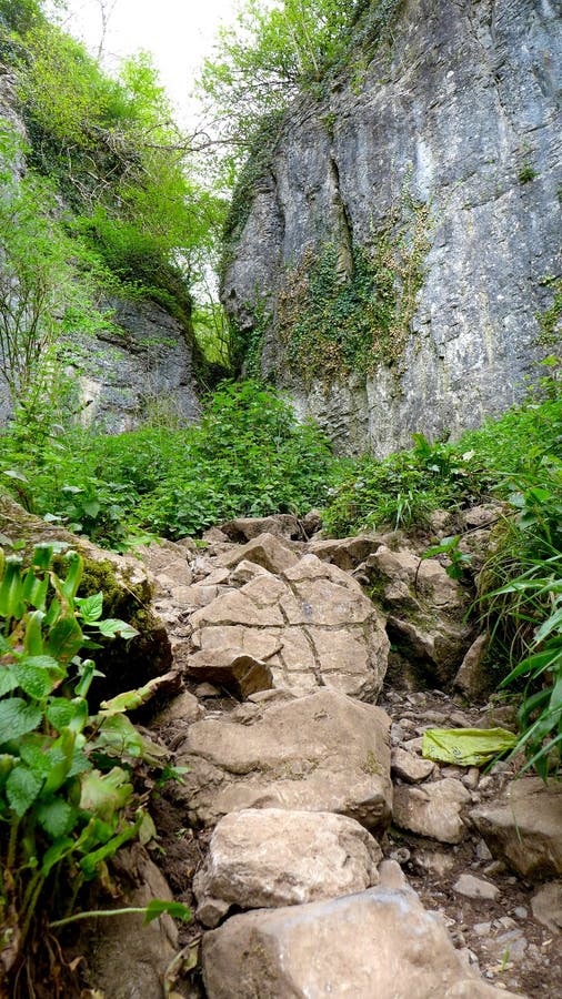 Rocky Footpath through a narrow canyon in the forest