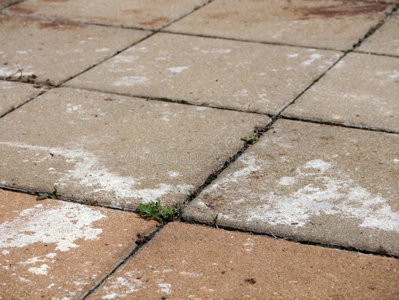 Rocky Ground stock photo. Image of dispersed, growth 78000678