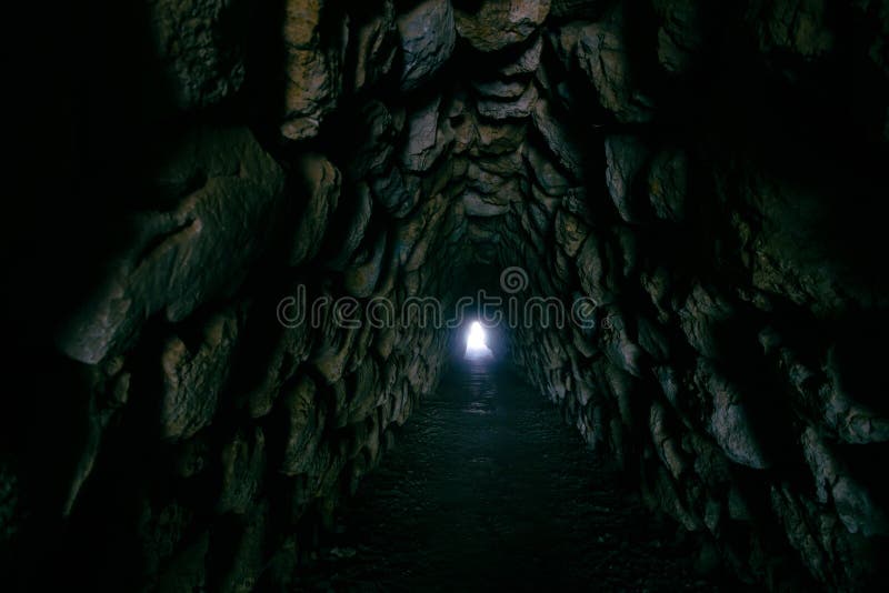 the cave and the light the cave and the light