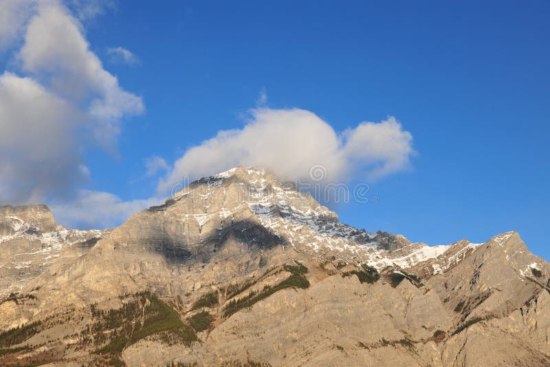 Rocky mountain and meadow stock photo. Image of meadowland 5121398