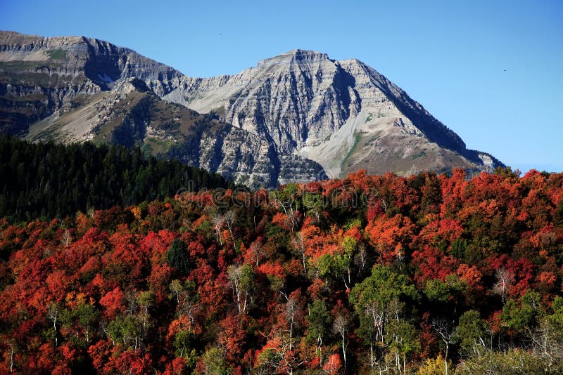 Rocky Mountain Fall