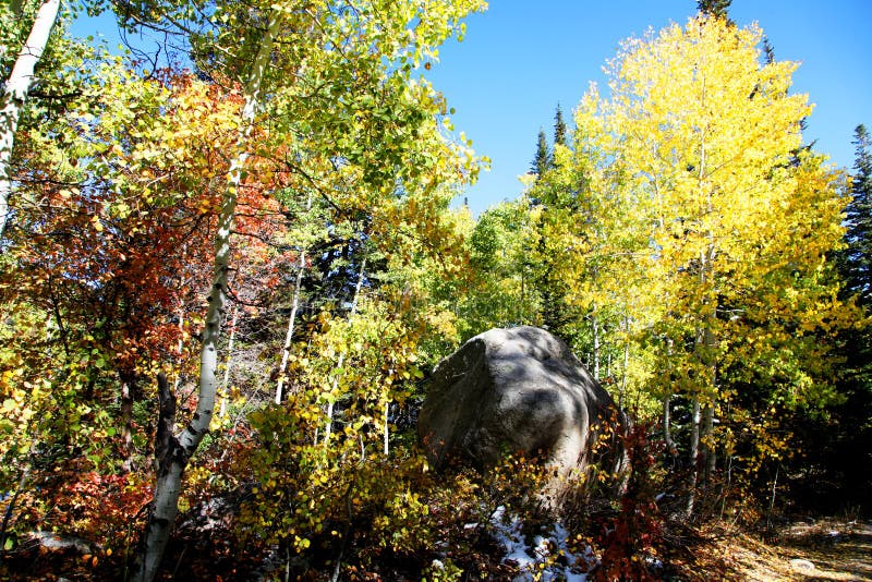 Rocky Mountain Fall