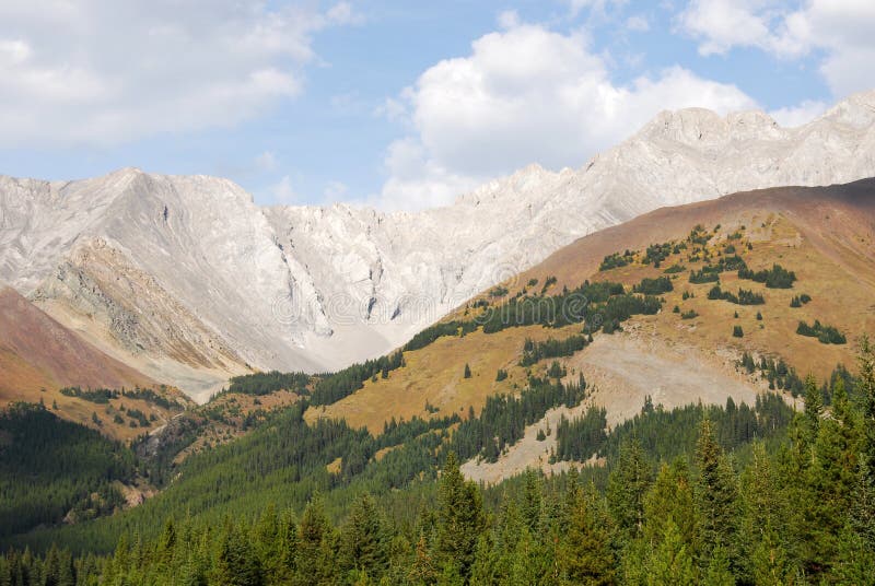 Rocky mountain and forest