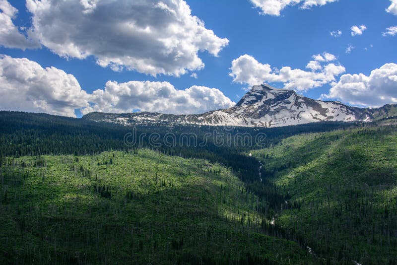 Rocky Mountain in Glacier National Park, Montana USA