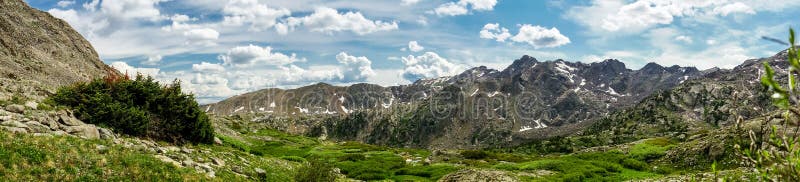 Rocky Mountain Landscape - träd och berg på 14.000 fot arkivfoton Rocky Mountain Landscape - träd och berg på 14.000 fot arkivfoton
