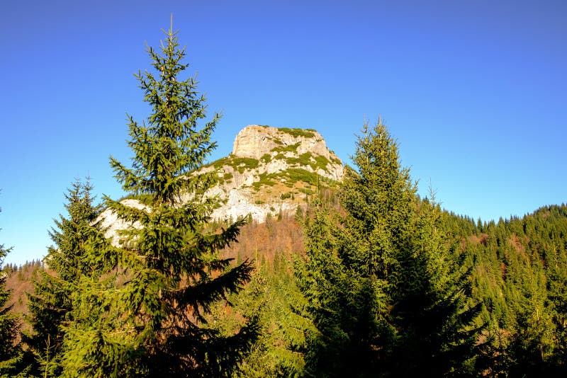 Rocky mountain peak with forest trees in foreground