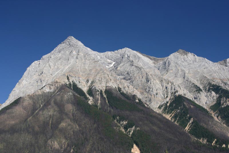 Rocky Mountains. Yoho National Park of Canada - forested area of Rocky mountains with clearly visible dying trees due to epidemic of mountain pine beetle stock images Rocky Mountains. Yoho National Park of Canada - forested area of Rocky mountains with clearly visible dying trees due to epidemic of mountain pine beetle stock images