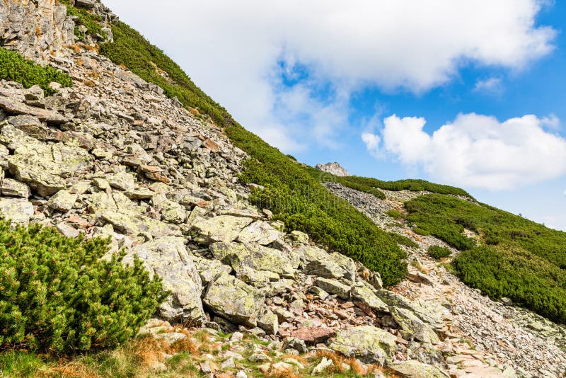 Rocky mountains and beautiful sky. Place for text