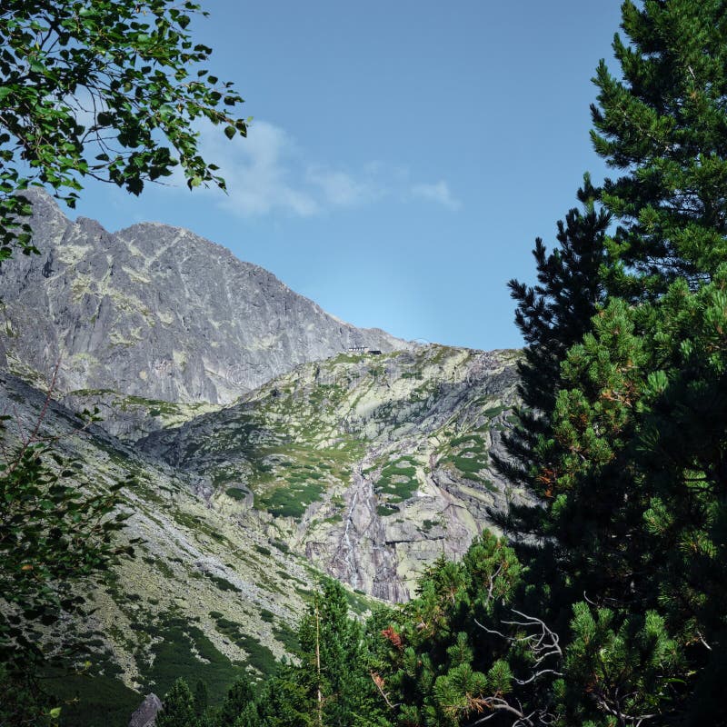 Skalnaté vrchy Vysokých Tatier medzi stromami na Slovensku