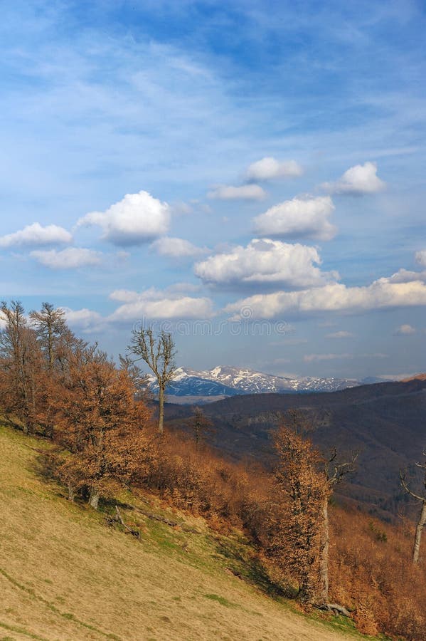 ROCKY MOUNTAINS, Ukraine, Vertical