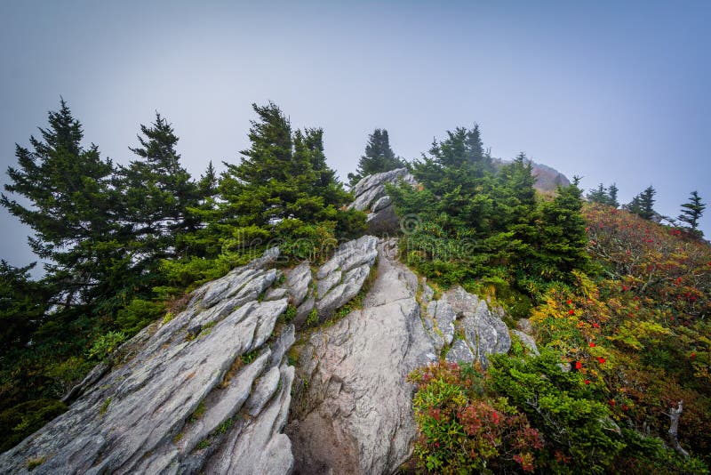 Rocky Outcrop and View of the Blue Ridge Mountains, at Grandfather ...