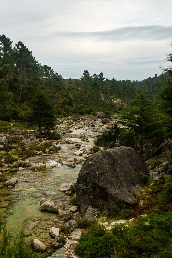 Rocky River Along la forêt image libre de droits Rocky River Along la forêt image libre de droits