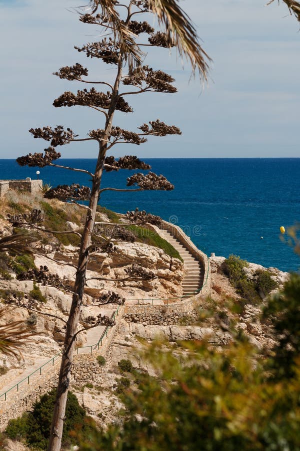 Rocky seashore. stock photo. Image of catalonia, cliff - 100864778