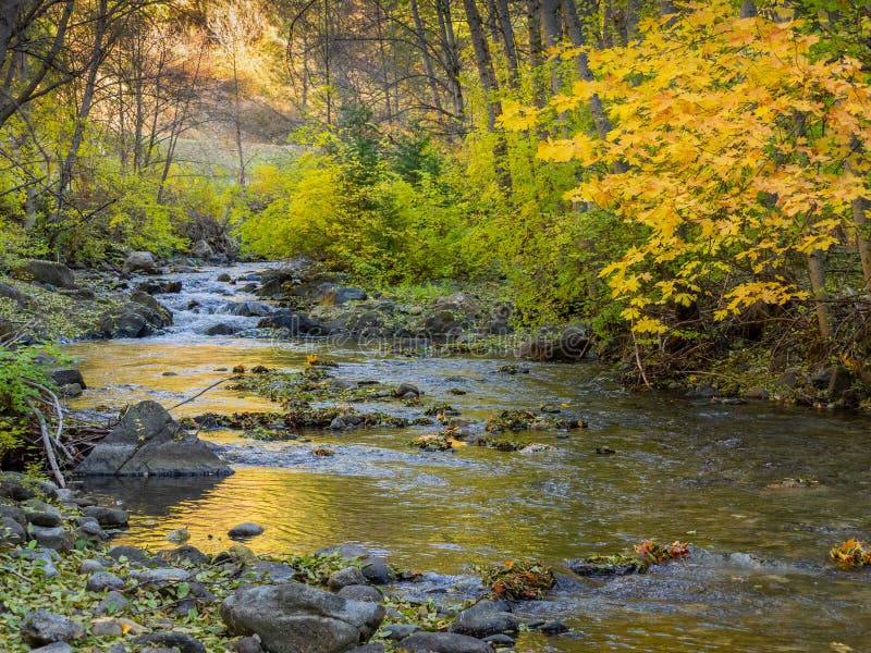 Rocky stream in autumn