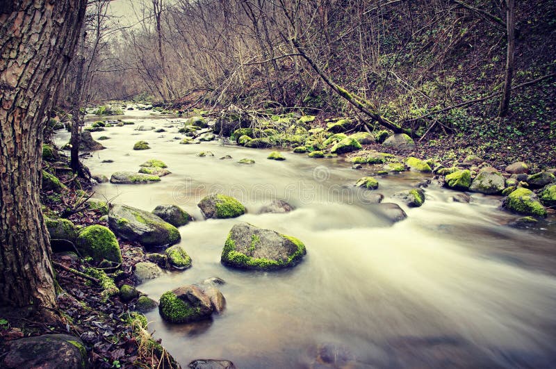 Rocky stream