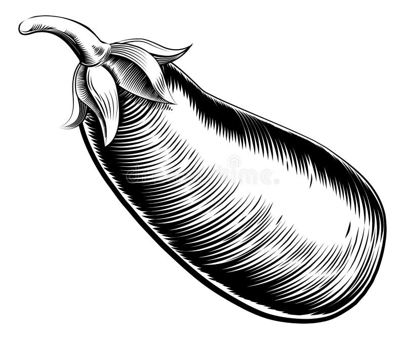 Rocznik oberżyny retro brinjal lub aubergine ilustracji Rocznik oberżyny retro brinjal lub aubergine ilustracji