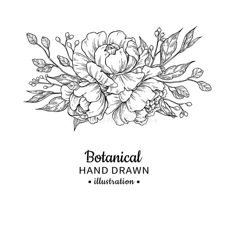 Vintage flower bouquet. Vector drawing. Peony, rose, leaves and berry sketch. Engraved botanical composition. Hand drawn floral wedding invitation, label template, anniversary card. Vintage flower bouquet. Vector drawing. Peony, rose, leaves and berry sketch. Engraved botanical composition. Hand drawn floral wedding invitation, label template, anniversary card.