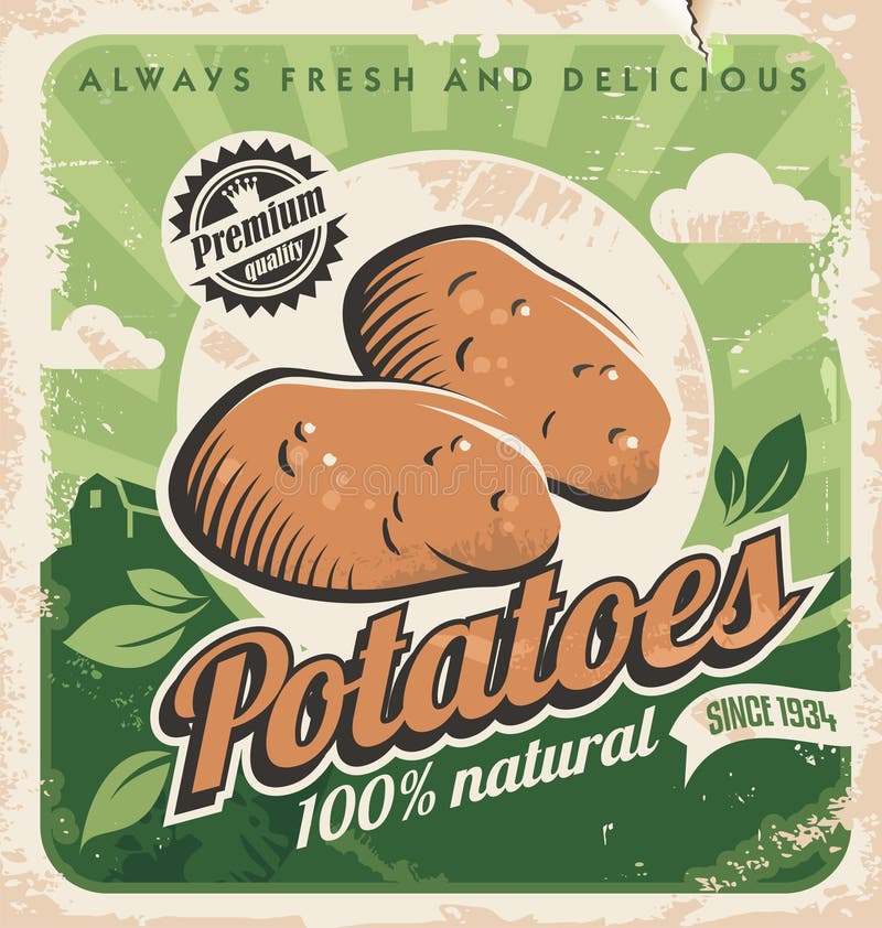 Vintage poster template for potato farm. Retro vegetables label design. Vector old paper texture food background. Food and drink design concept. Vintage poster template for potato farm. Retro vegetables label design. Vector old paper texture food background. Food and drink design concept.