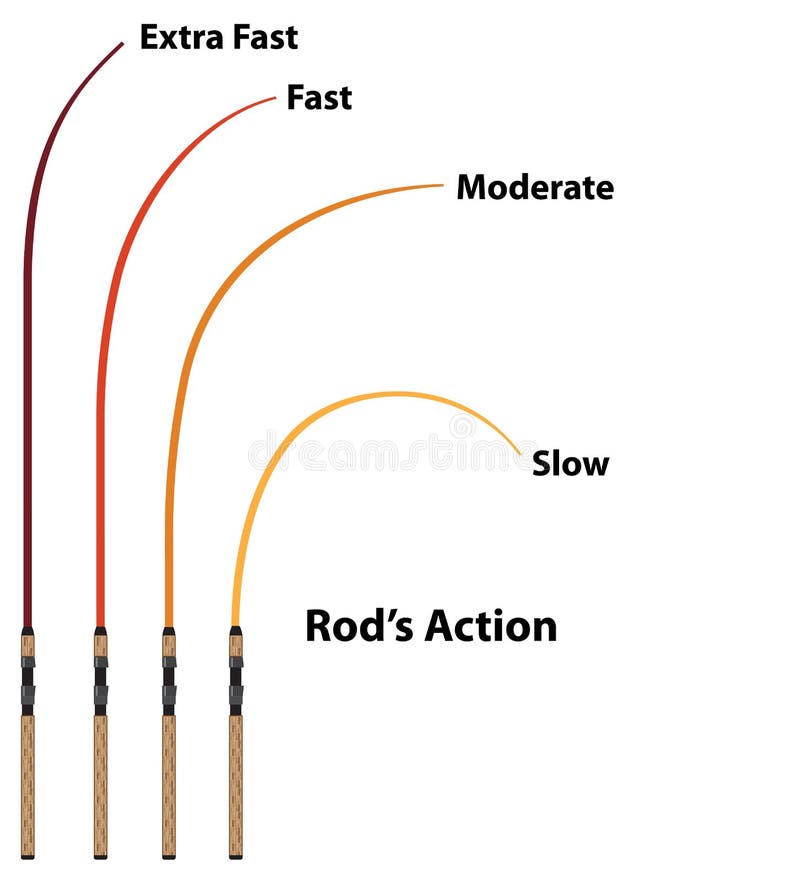 Diagram Power of the Fishing Rod Characteristics Stock Vector