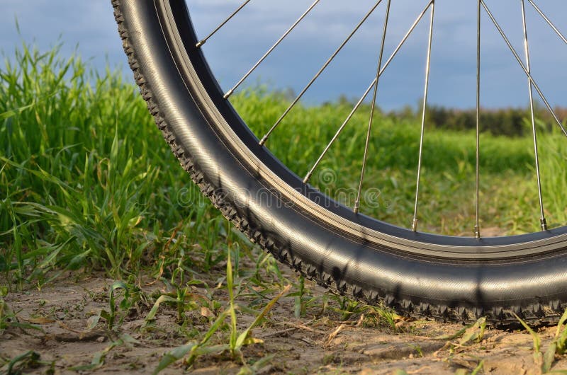 Roda de bicicleta de montanha fotografia de stock royalty free