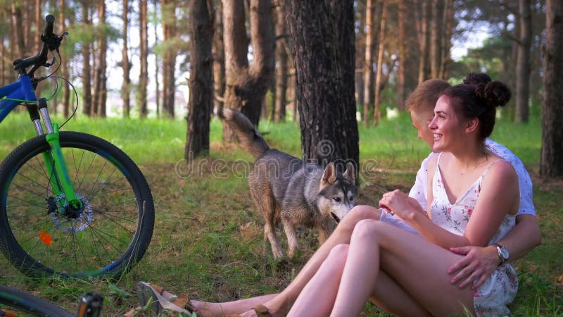 A roda de uma bicicleta que encontra-se na grama na frente dos pares loving felizes tem um resto após a ciclagem na floresta do v