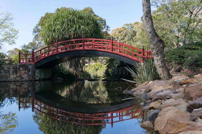 Rode boogbrug over de rivier, vijver in het park stock afbeelding Rode boogbrug over de rivier, vijver in het park stock afbeelding