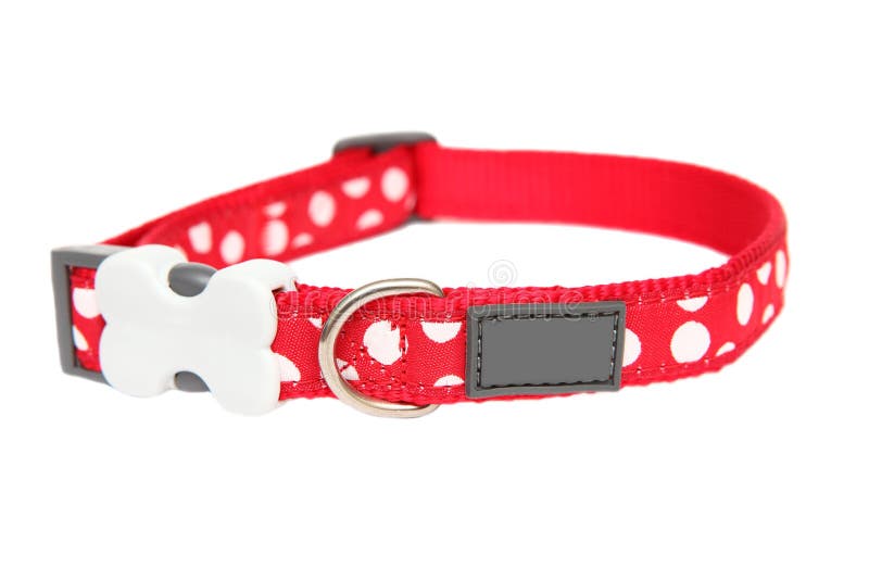 Rode halsband stock foto's Rode halsband stock foto's