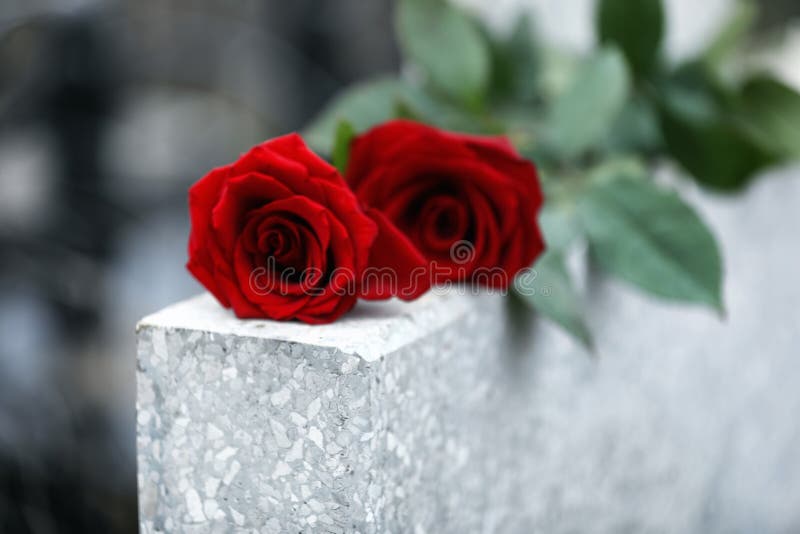 Rode rozen op lichtgrijze grafsteen in de openlucht begrafenisplechtigheid