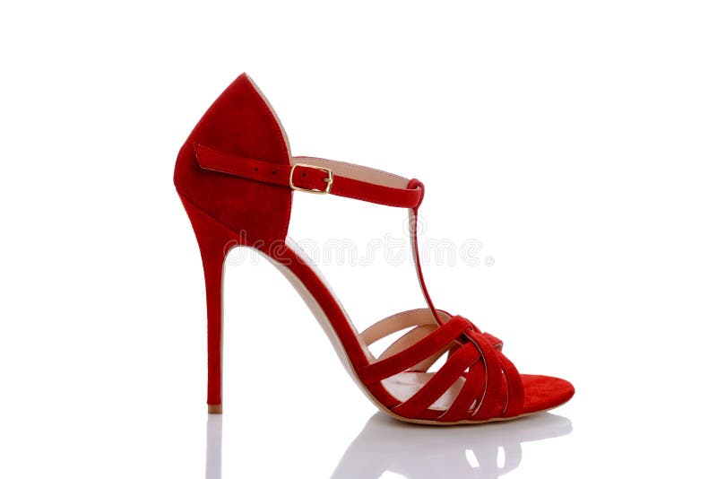 zebra Los Pijnboom Rode schoenen voor vrouwen stock afbeelding. Image of schoen - 96662639