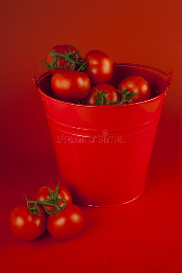 Rode tomaten in een emmer stock fotografie Rode tomaten in een emmer stock fotografie