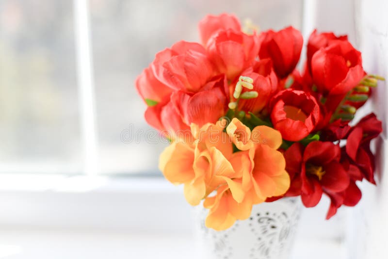 Rode tulpen op witte achtergrond met exemplaarruimte Hoogste mening stock afbeeldingen Rode tulpen op witte achtergrond met exemplaarruimte Hoogste mening stock afbeeldingen